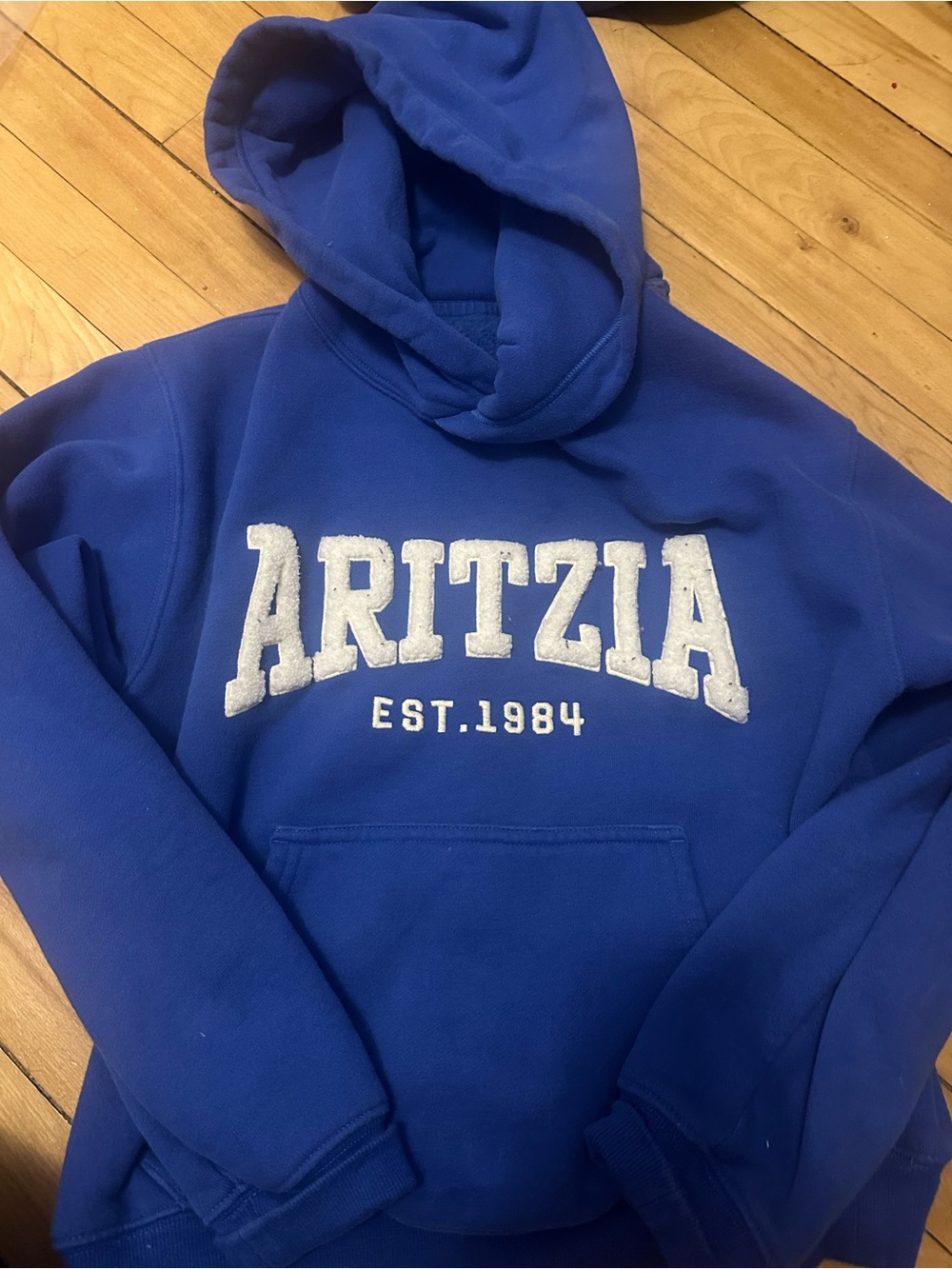aritzia jazz blue hoodie